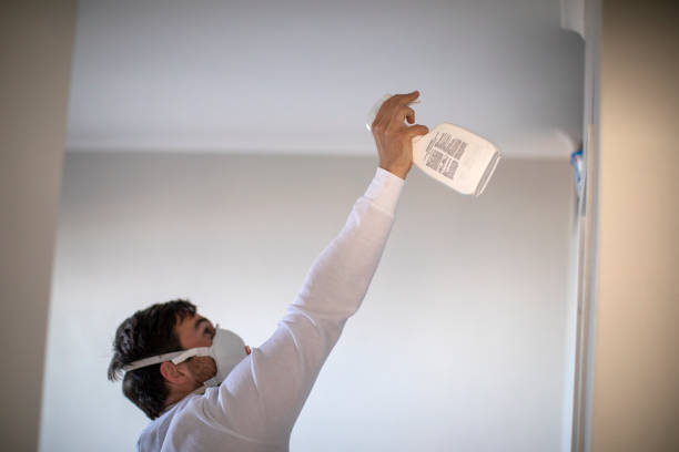 Best Commercial Mold Removal  in Anna, OH