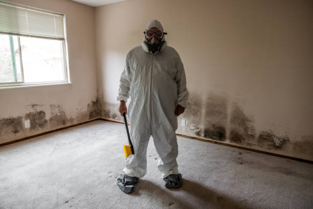 Professional Mold Removal in Anna, OH